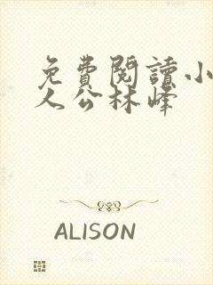 免费阅读小说主人公林峰