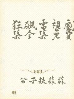 狂飙电视剧40集全集免费在线观看