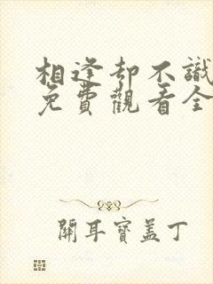 相逢却不识短剧免费观看全集