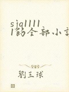 sjq11111的全部小说