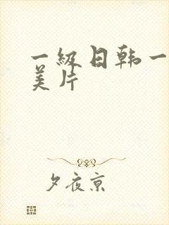 一级日韩一级欧美片