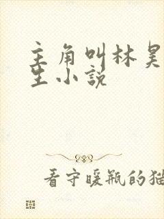 主角叫林昊的重生小说封面