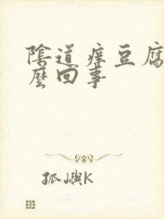 阴道痒豆腐渣怎么回事