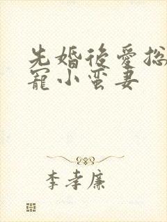 先婚后爱总裁娇宠小蛮妻封面