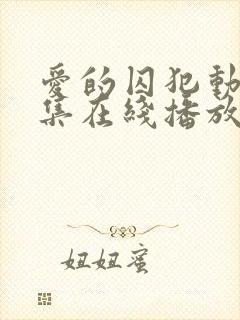 爱的囚犯动漫全集在线播放免费观看