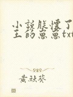 小说朕怀了摄政王的崽崽txt