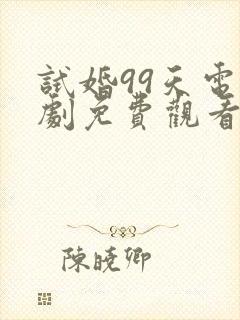 试婚99天电视剧免费观看全集完整版