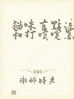 猫咪有点流鼻涕和打喷嚏怎么办