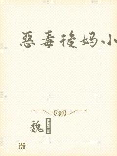 恶毒后妈小说