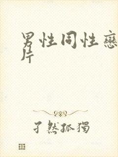 男性同性恋一级片封面