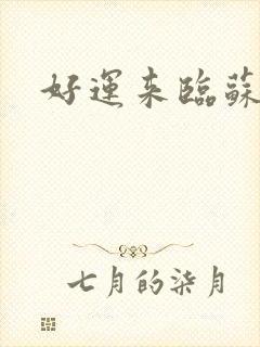 好运来临苏适封面