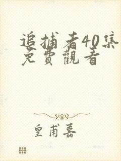 追捕者40集全免费观看