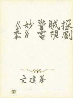 《妙警贼探第一季》电视剧