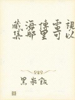 藏海传电视剧全集哪里可以看