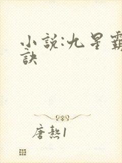 小说:九星霸体诀