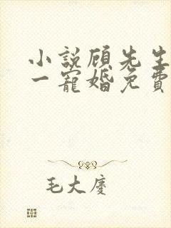 小说顾先生的第一宠婚免费封面