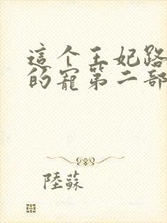 这个王妃路子野的宠第二部