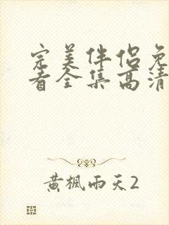 完美伴侣免费观看全集高清版