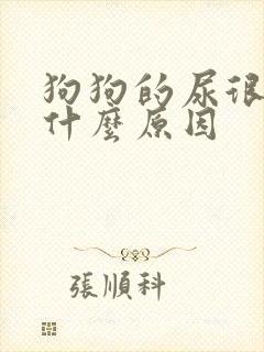 狗狗的尿很黄是什么原因封面