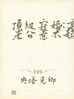 顶级宠婚:高冷老公惹不起全文免费阅读