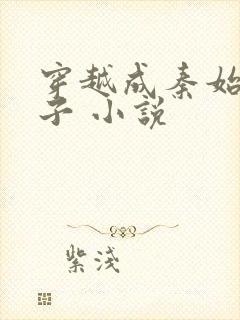 穿越成秦始皇长子 小说封面