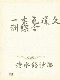 一本色道久久亚洲综合