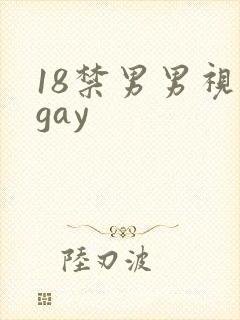 18禁男男视频gay