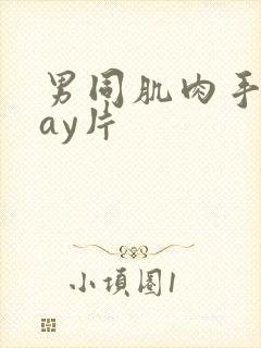 男同肌肉手淫gay片