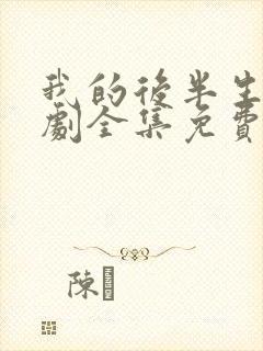 我的后半生电视剧全集免费观看高清版