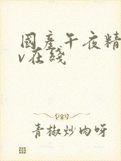 国产午夜精品av在线