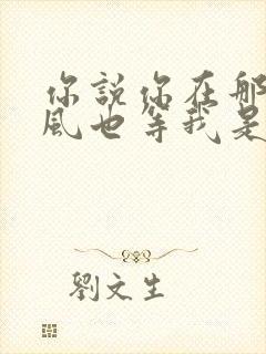 你说你在那里等风也等我是哪首歌的歌词