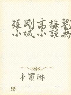 张刚高梅刘阿姨小城小说无弹窗