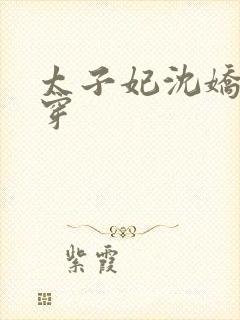 太子妃沈娇娇清穿