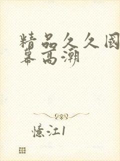 精品久久国产字幕高潮封面