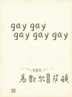 gay gay gay gay gay封面