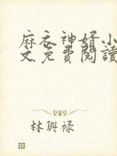 麻衣神婿小说全文免费阅读封面