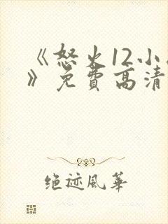 《怒火12小时》免费高清完整版