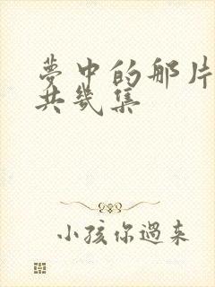 梦中的那片海一共几集