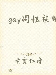 gay同性视频