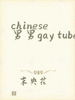 chinese男男gay tube封面