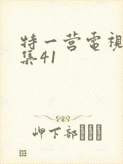 特一营电视剧全集41