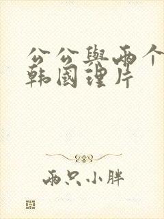 公公与两个儿媳韩国理片封面