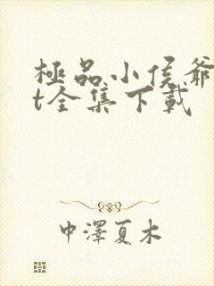 极品小侯爷txt全集下载