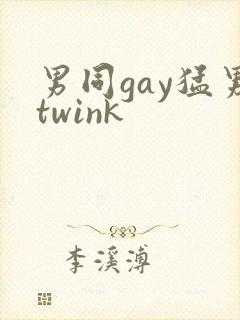 男同gay猛男twink