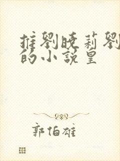 推刘晓莉刘亦菲的小说皇