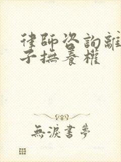 律师咨询离婚孩子抚养权