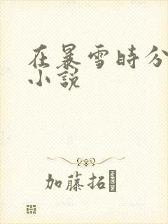 在暴雪时分小说小说