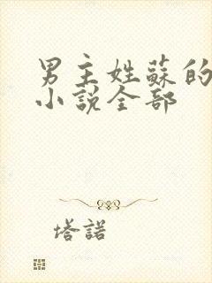 男主姓苏的现代小说全部封面