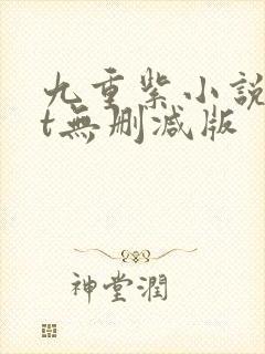 九重紫小说txt无删减版