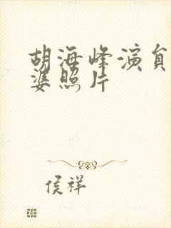 胡海峰演员 老婆照片封面